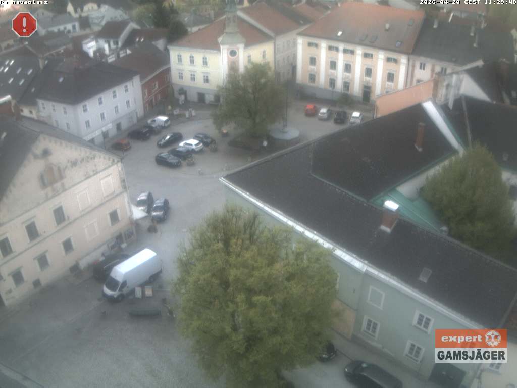 Camera Live Image