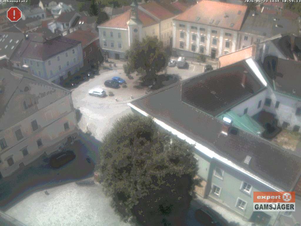 Camera Live Image